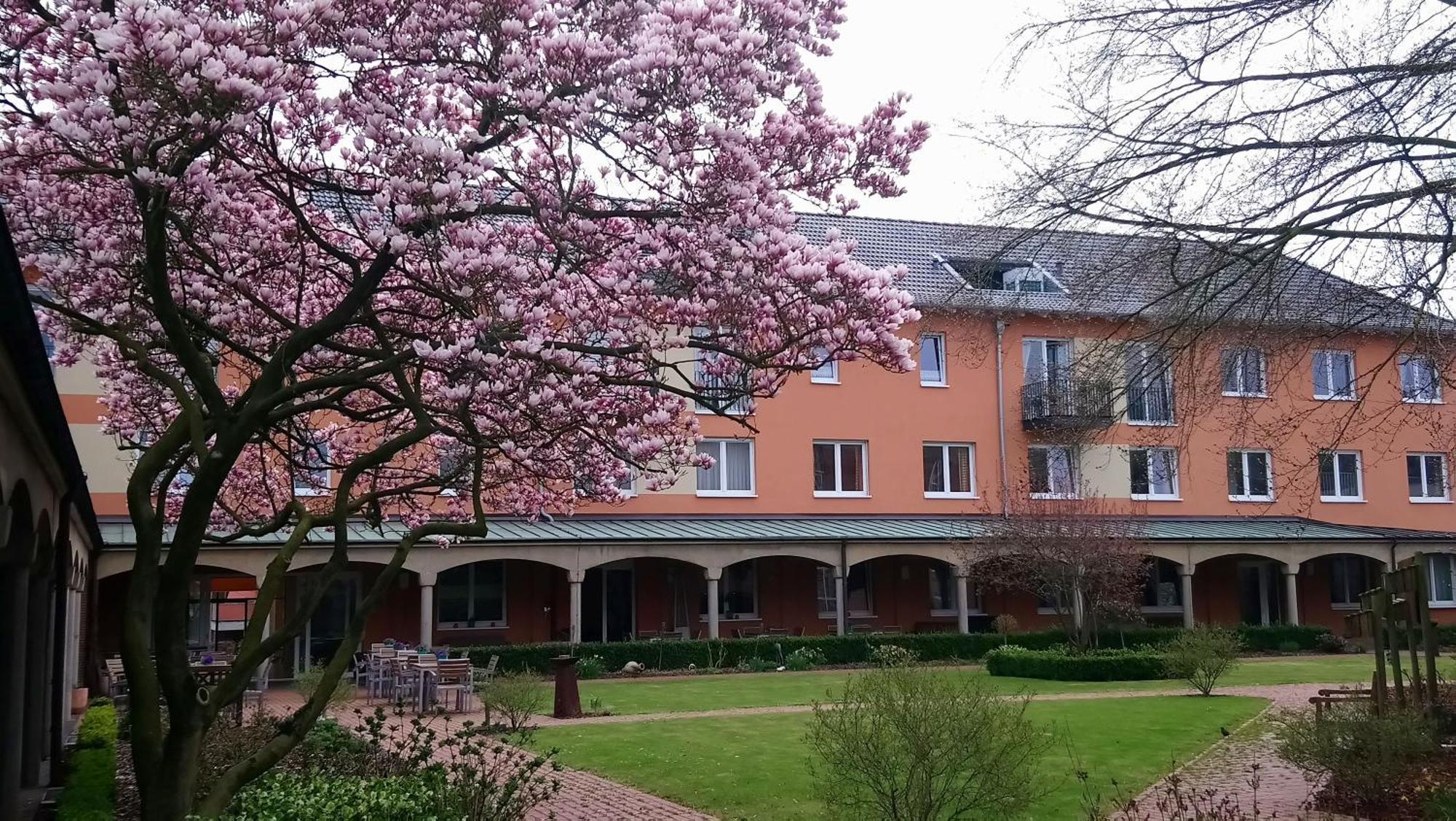 Hotel Klostergarten เคเวลาร์ ภายนอก รูปภาพ